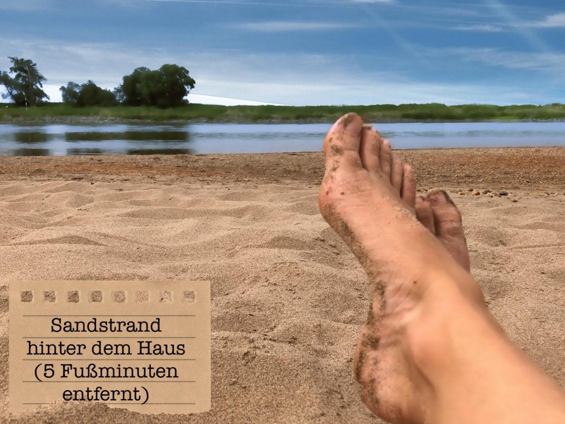 Alte Schule Wittenberg, 3 Ferienwohnungen Fuer Bis Zu 12 Personen, An Der Elbe, Mit Garten 外观 照片