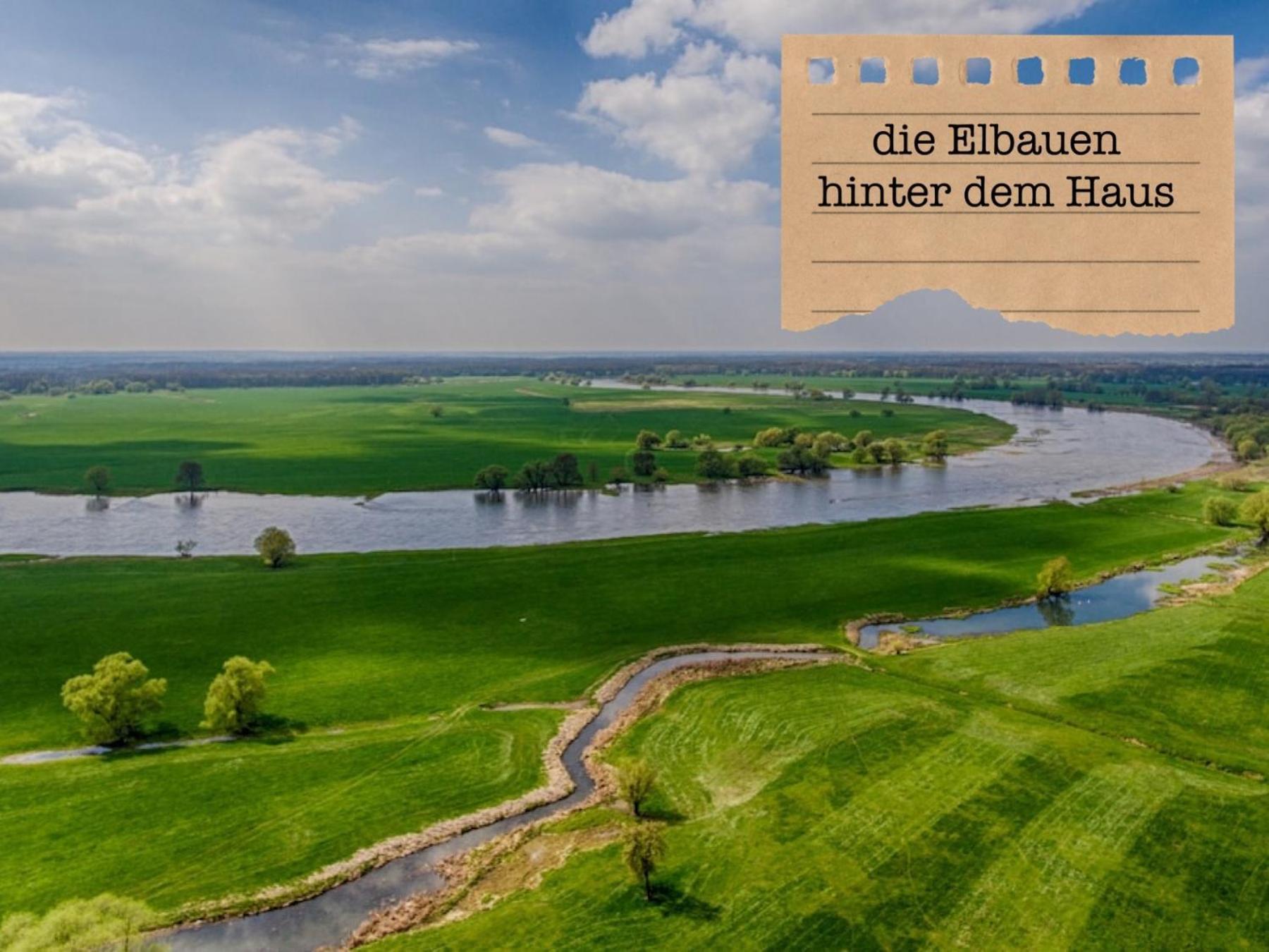 Alte Schule Wittenberg, 3 Ferienwohnungen Fuer Bis Zu 12 Personen, An Der Elbe, Mit Garten 外观 照片