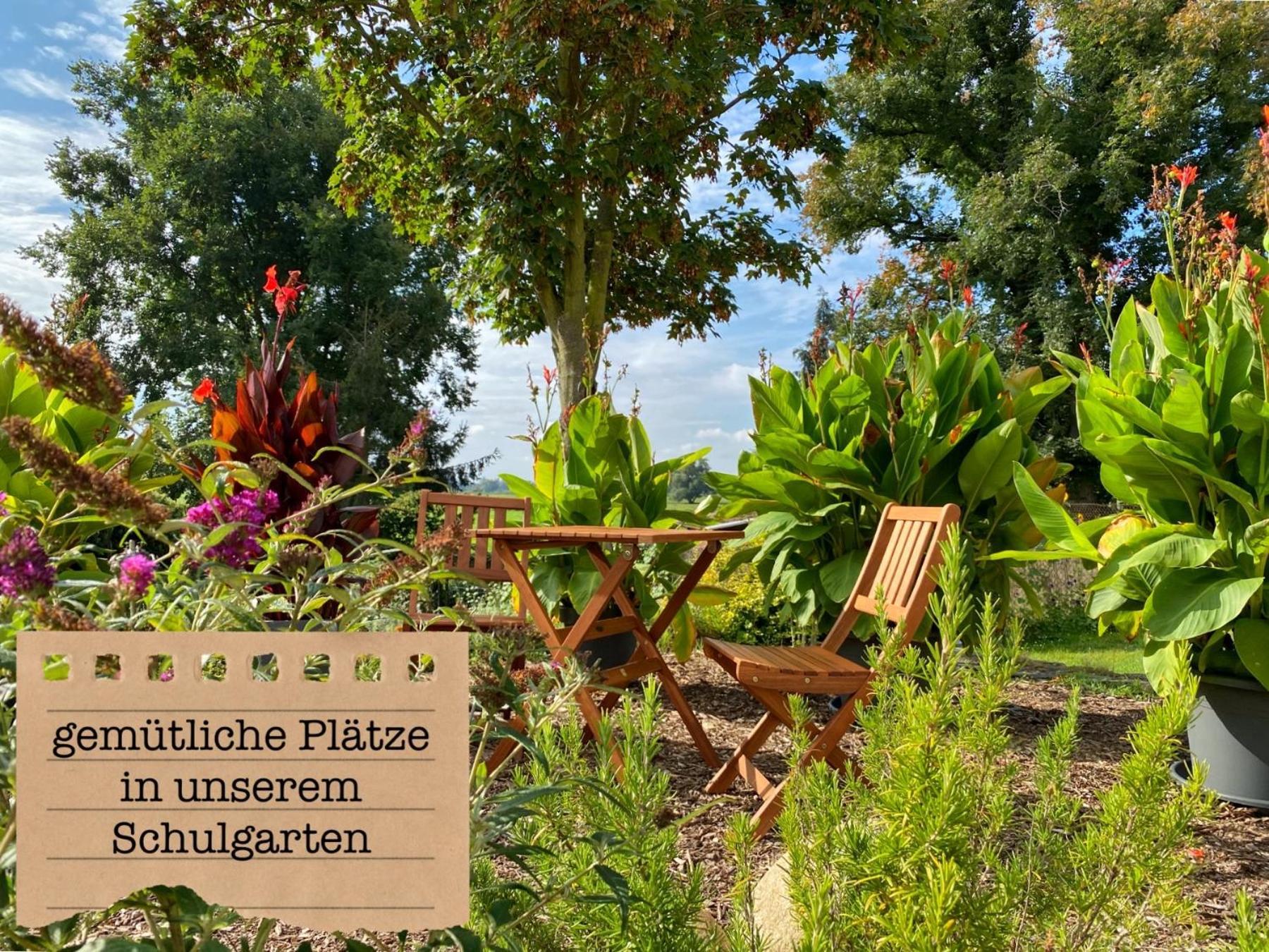 Alte Schule Wittenberg, 3 Ferienwohnungen Fuer Bis Zu 12 Personen, An Der Elbe, Mit Garten 外观 照片