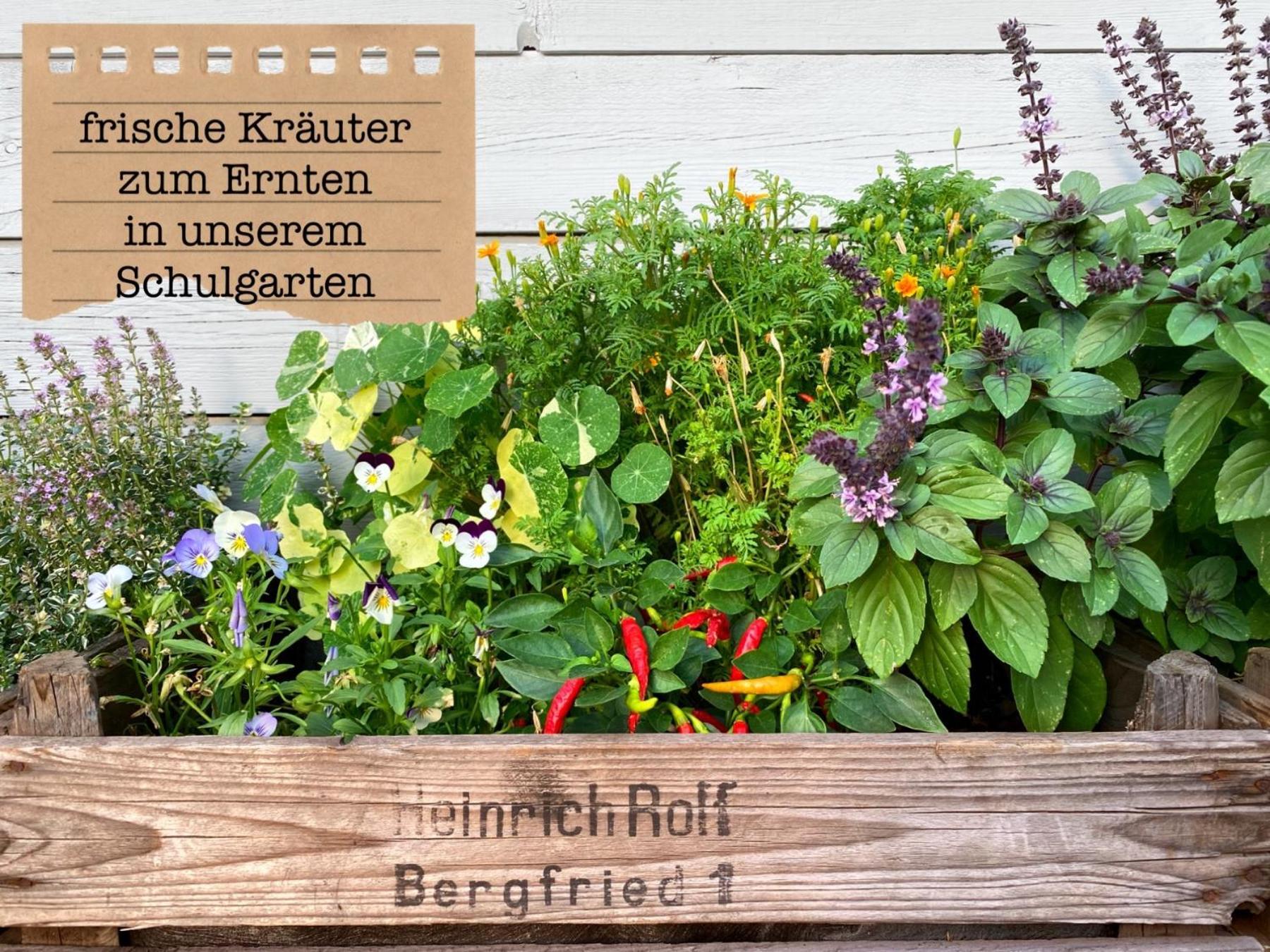 Alte Schule Wittenberg, 3 Ferienwohnungen Fuer Bis Zu 12 Personen, An Der Elbe, Mit Garten 外观 照片