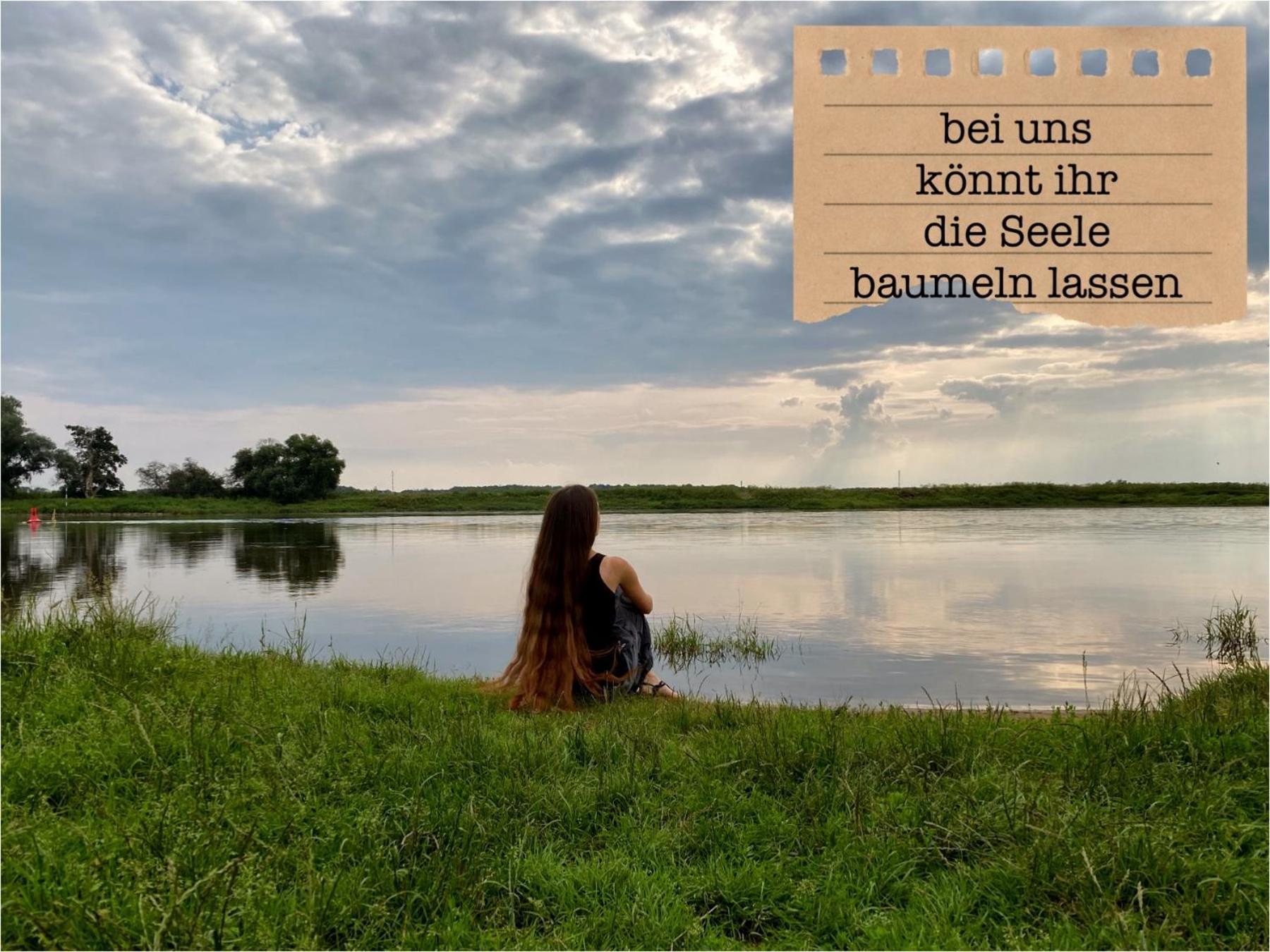 Alte Schule Wittenberg, 3 Ferienwohnungen Fuer Bis Zu 12 Personen, An Der Elbe, Mit Garten 外观 照片