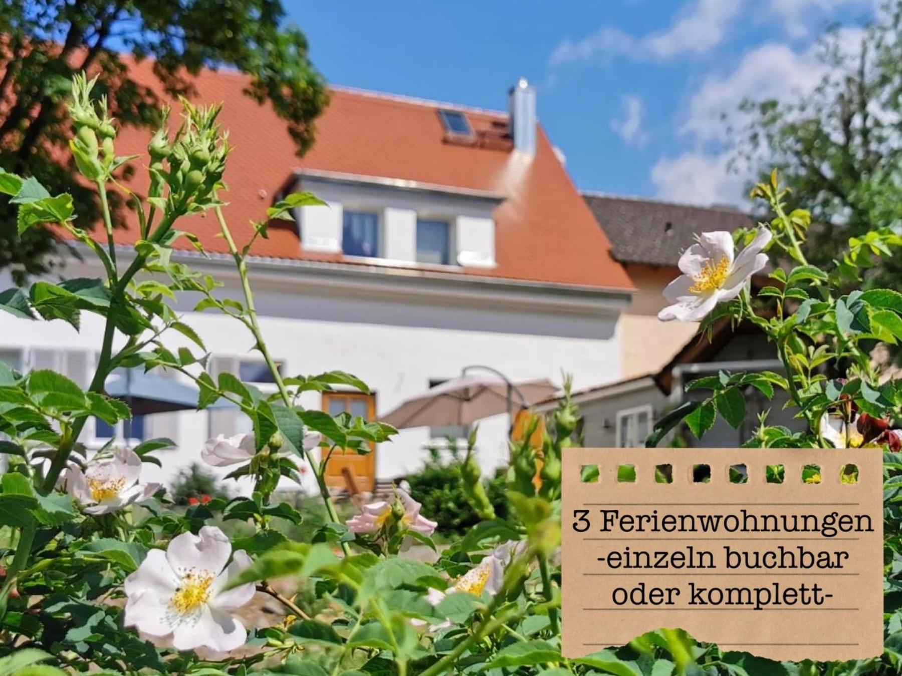 Alte Schule Wittenberg, 3 Ferienwohnungen Fuer Bis Zu 12 Personen, An Der Elbe, Mit Garten 外观 照片