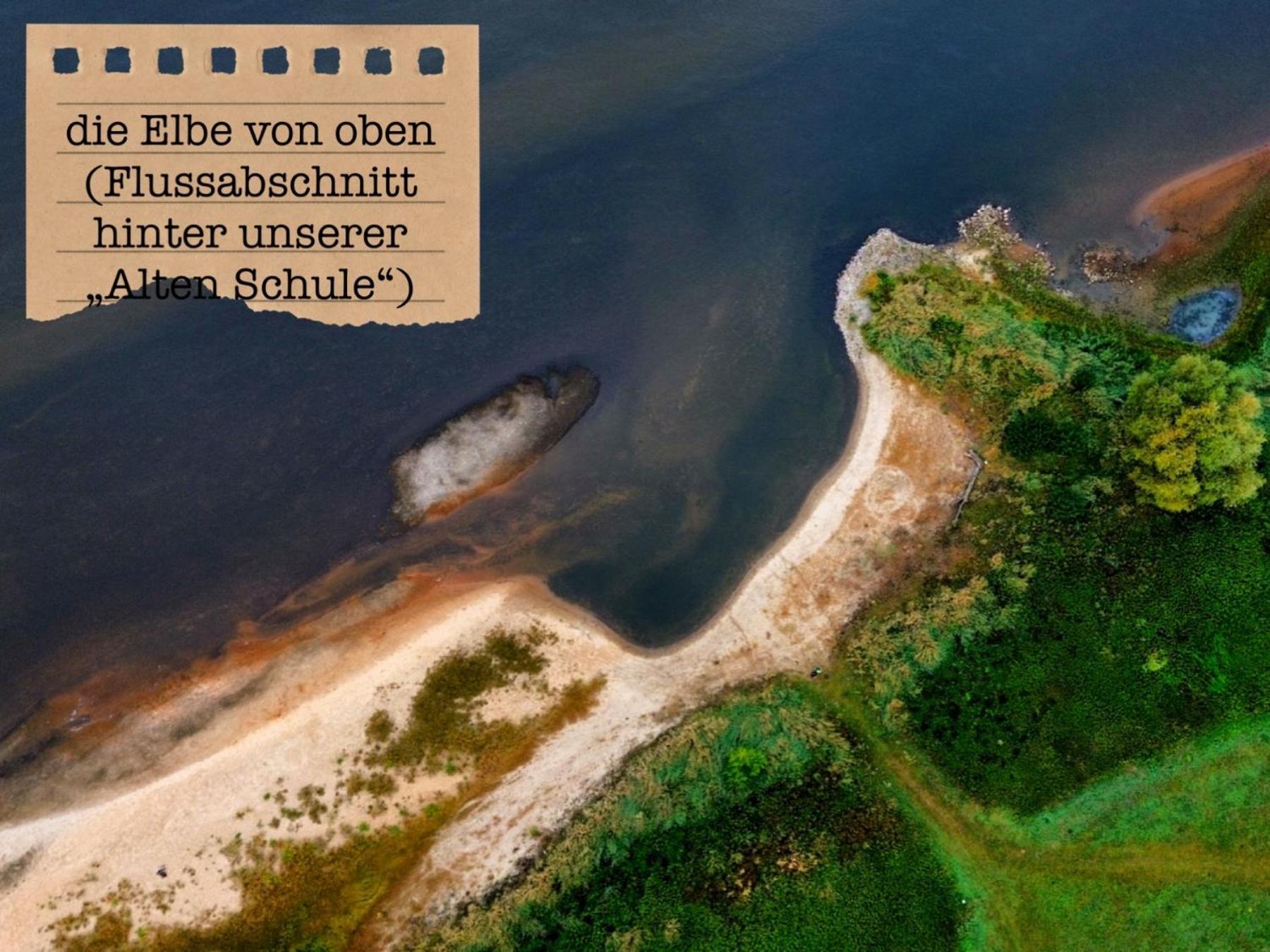 Alte Schule Wittenberg, 3 Ferienwohnungen Fuer Bis Zu 12 Personen, An Der Elbe, Mit Garten 外观 照片