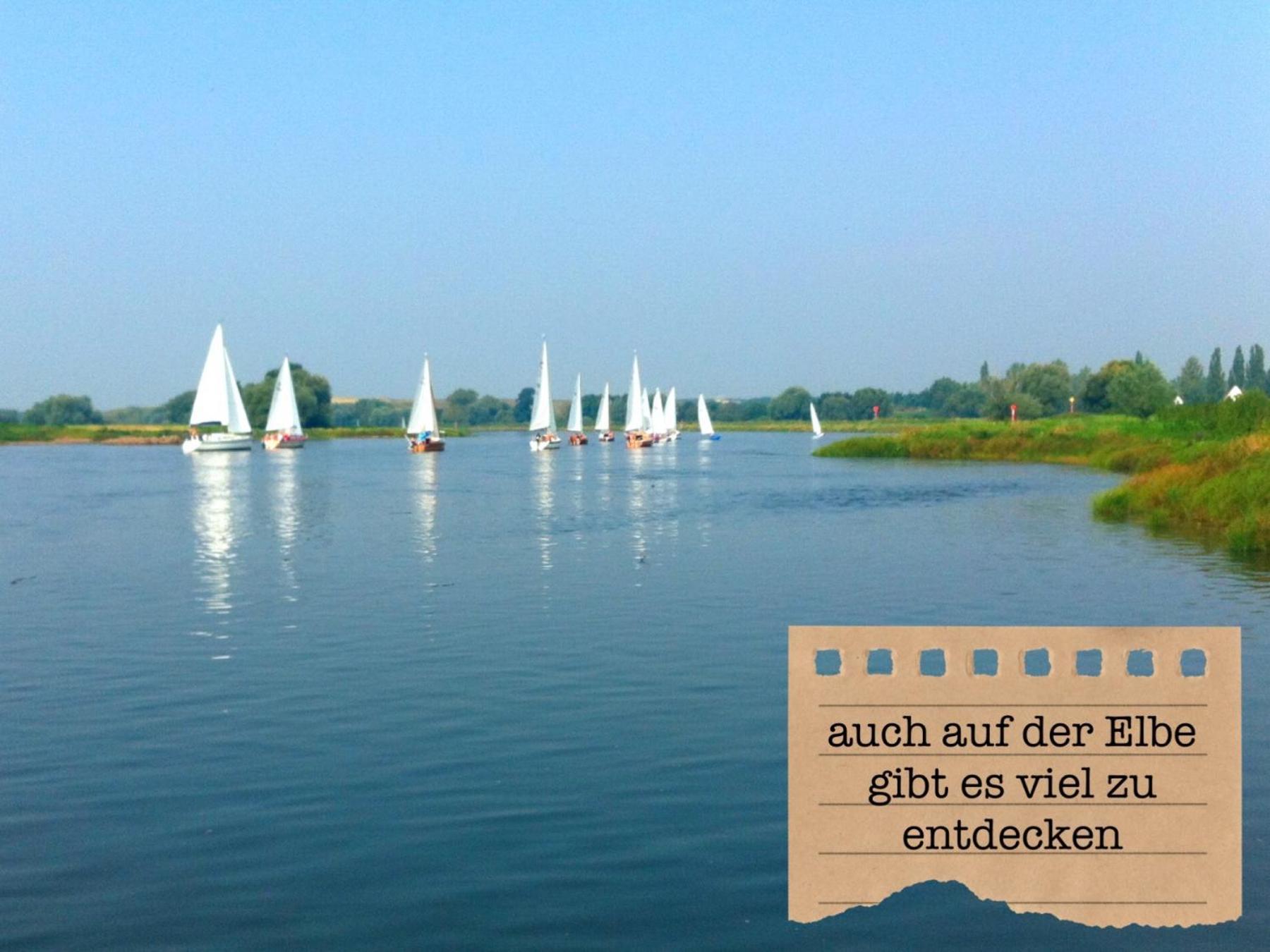 Alte Schule Wittenberg, 3 Ferienwohnungen Fuer Bis Zu 12 Personen, An Der Elbe, Mit Garten 外观 照片