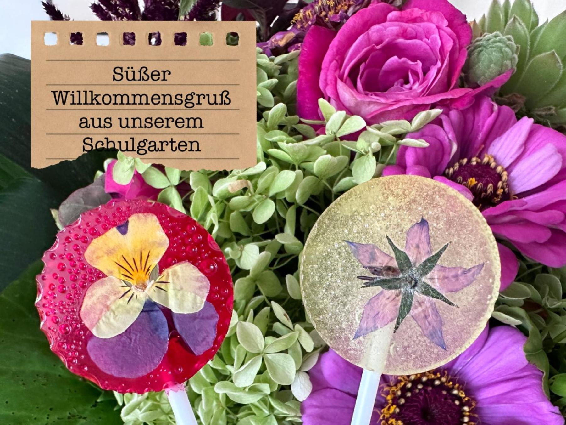Alte Schule Wittenberg, 3 Ferienwohnungen Fuer Bis Zu 12 Personen, An Der Elbe, Mit Garten 外观 照片